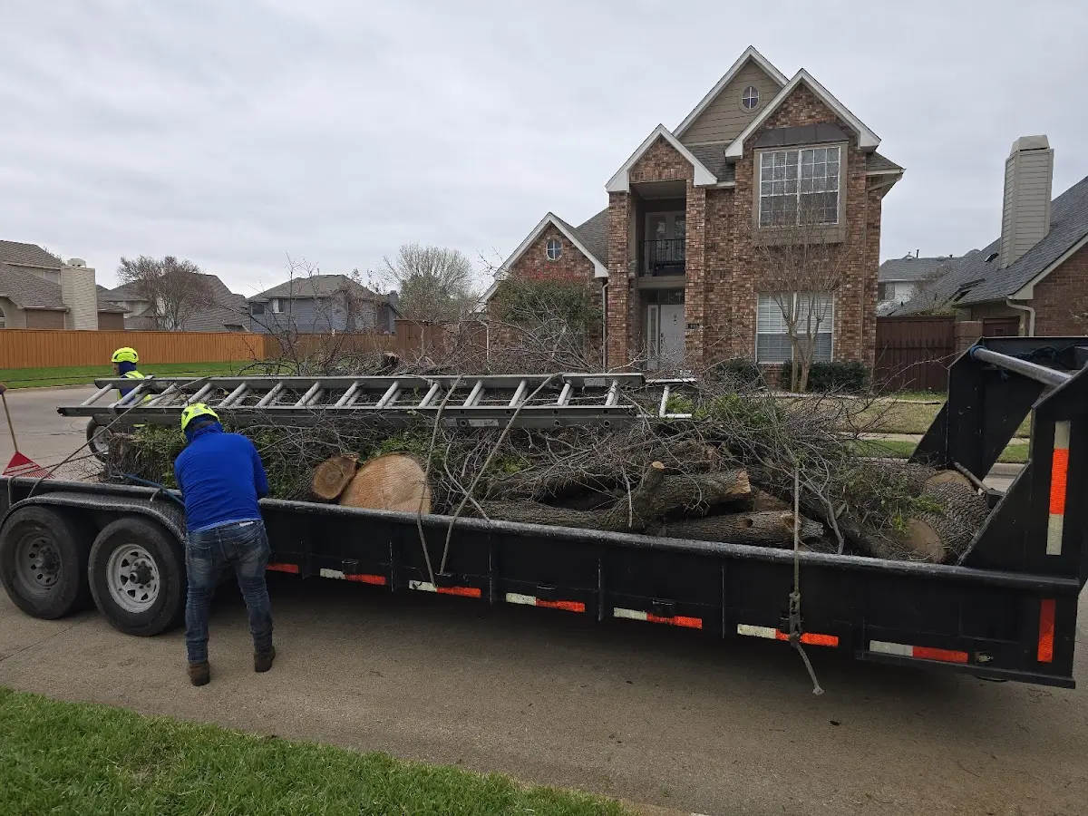 Expert Tree Removal with proper safety equipment in Redford